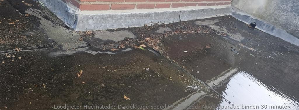 Daklekkage Spoed Heemstede