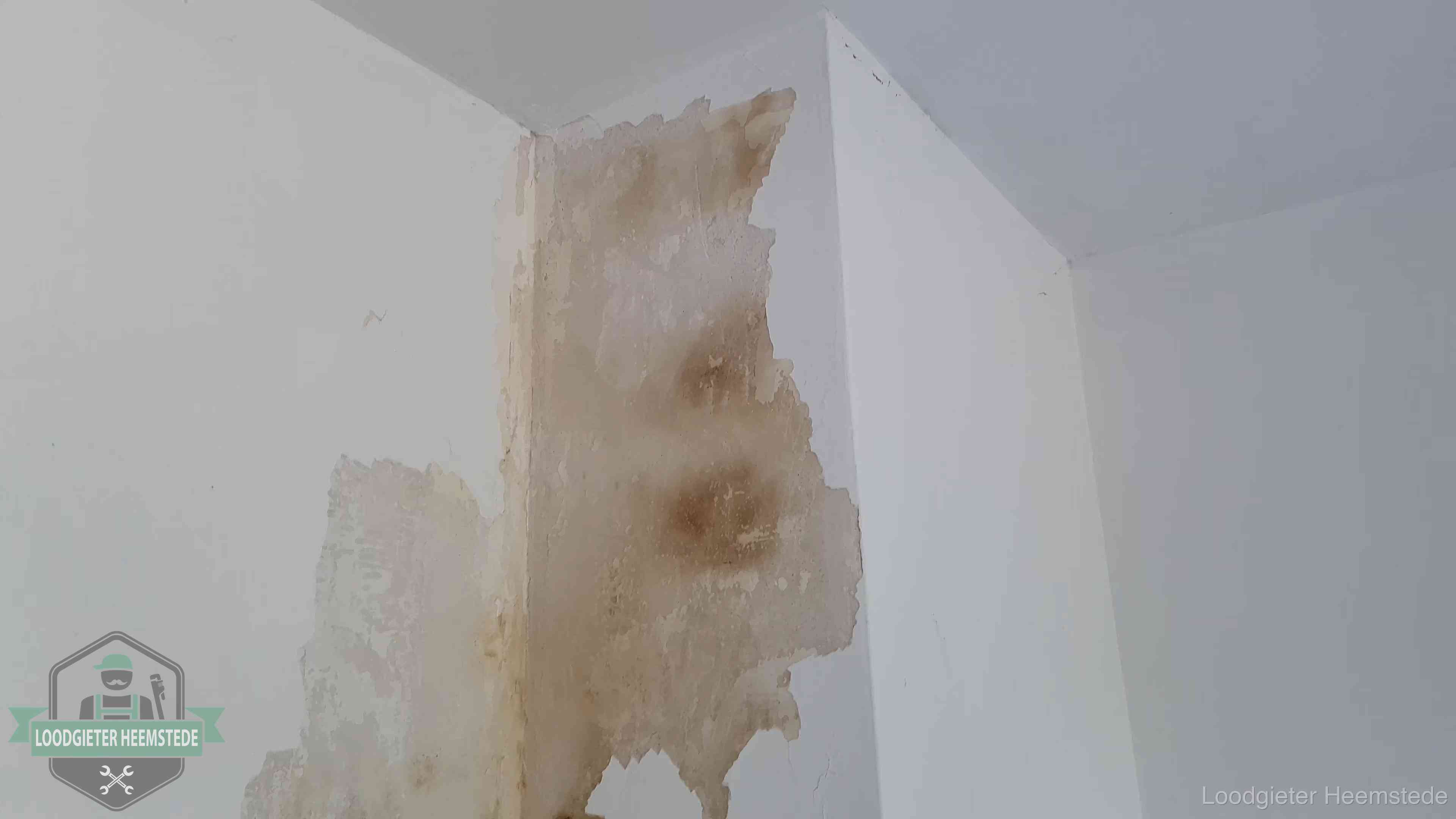 Bruine vochtkringen en afbladderend stucwerk op een binnenmuur in Heemstede, een eerste teken van daklekkage