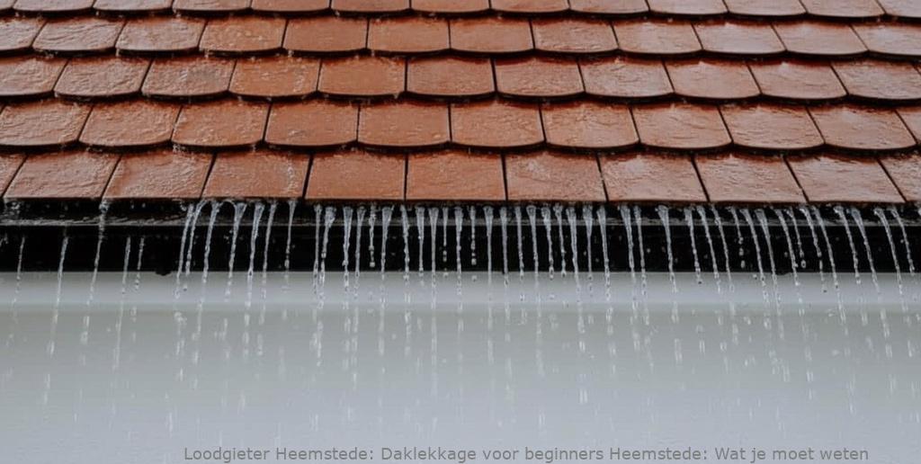 Daklekkage Voor Beginners Heemstede