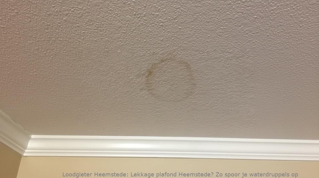 Lekkage Plafond Heemstede