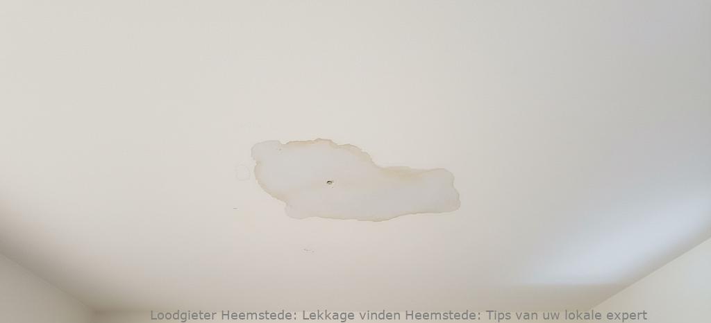 Lekkage Vinden Heemstede